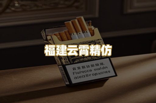 福建云霄精仿