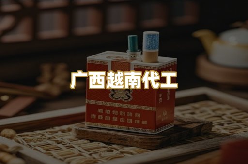 广西越南代工